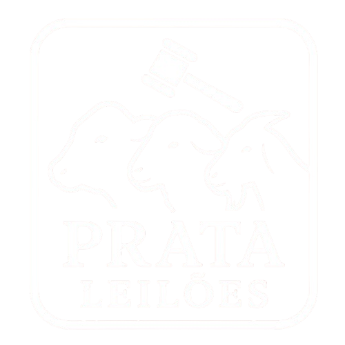 Prata Leilões